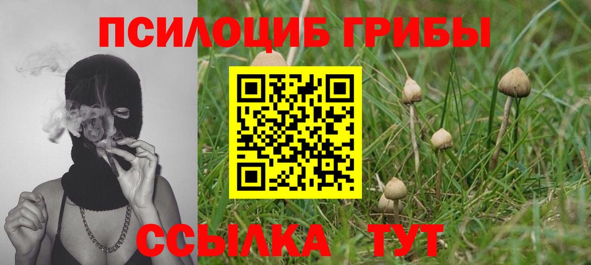 Псилоцибиновые грибы GOLDEN TEACHER  Вход с VPN  Люберцы 