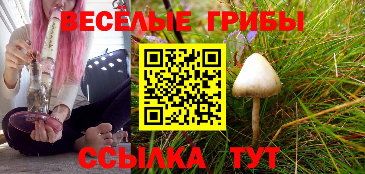 Галлюциногенные грибы мухоморы Люберцы